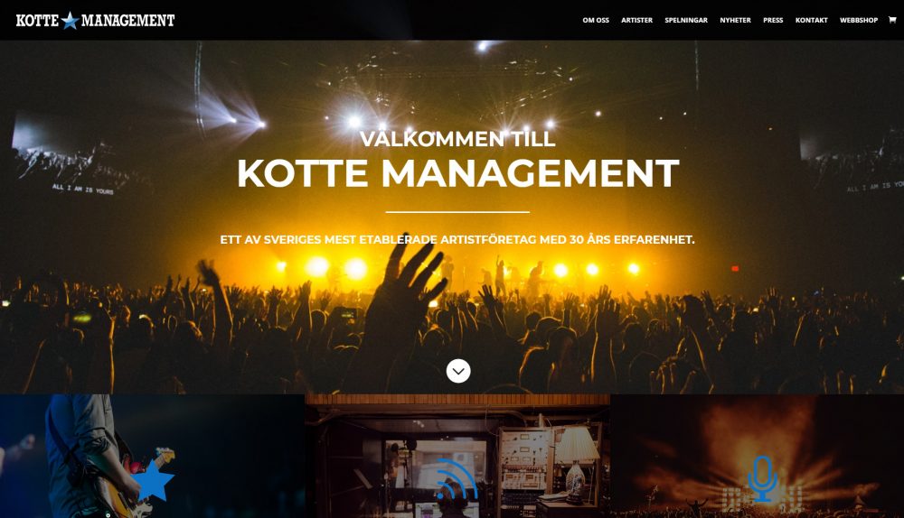 Kotte Management, webbplats, hemsida, webbdesign, SEO, sökmotoroptimering